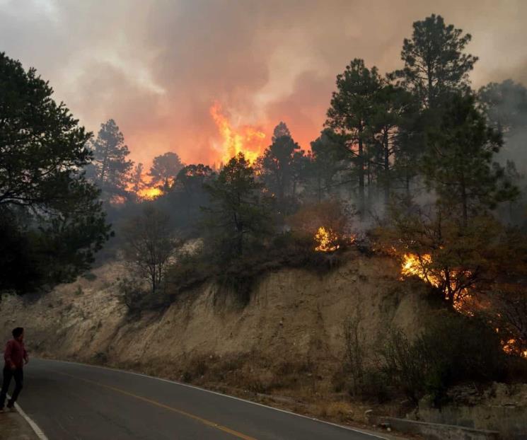 Prohíbe NL uso de fuego en la sierra