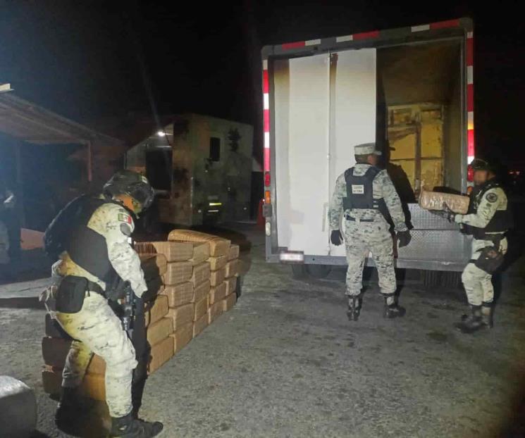 Descubren droga en tractocamión Descubren droga en tractocamión