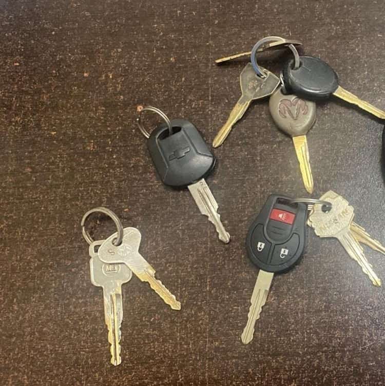 imagen-cuerpo imagen-cuerpo