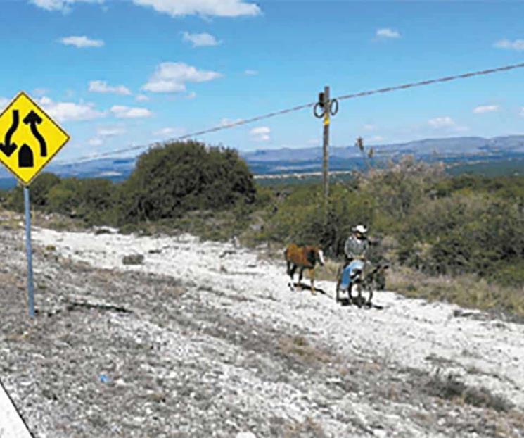 Encuentran un ejecutado en Doctor Arroyo