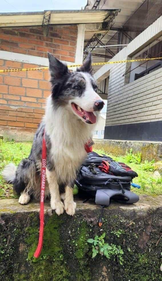 Hijos de Athos apoyan en terremoto de Turquía Hijos de Athos apoyan en terremoto de Turquía