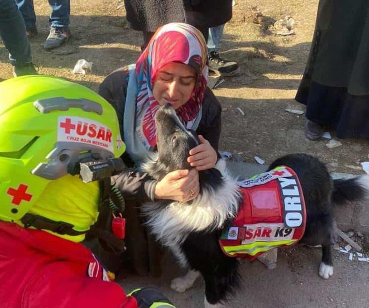 Perros rescatistas  le ganan a los robots