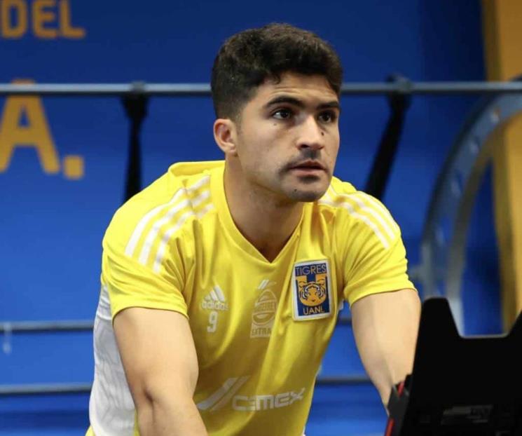 Felinos ya se enfocan en el Atlas Felinos ya se enfocan en el Atlas