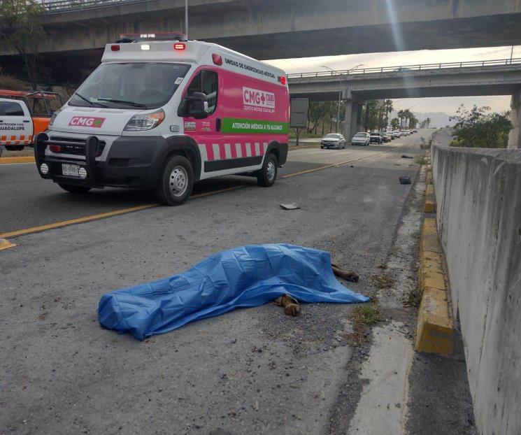 Muere indigente atropellado Muere indigente atropellado