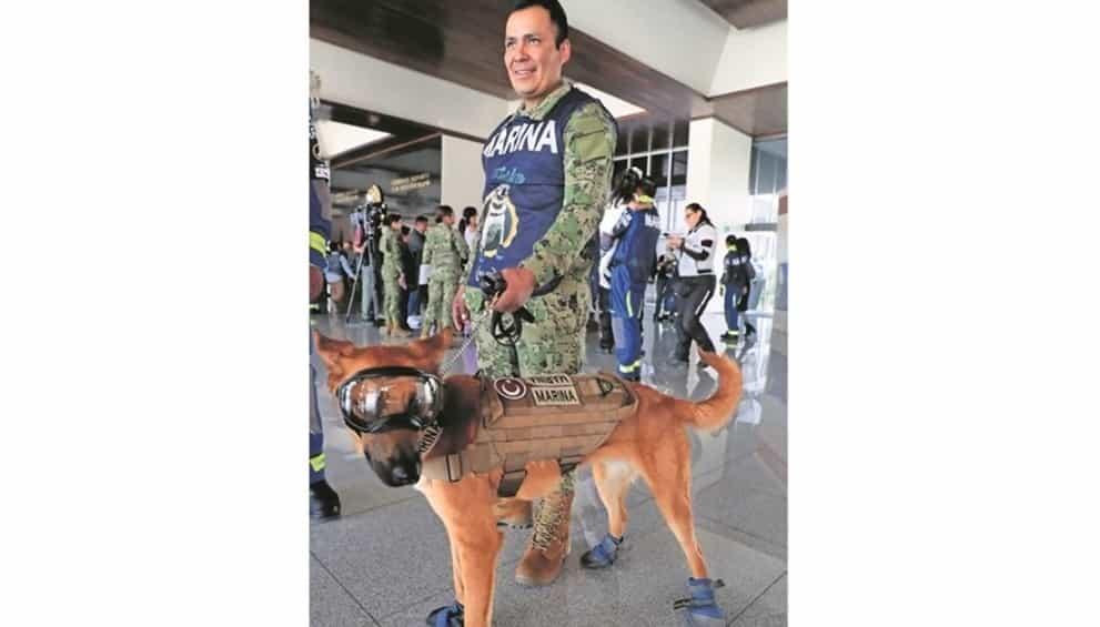 Solidaridad pone en alto a México Solidaridad pone en alto a México