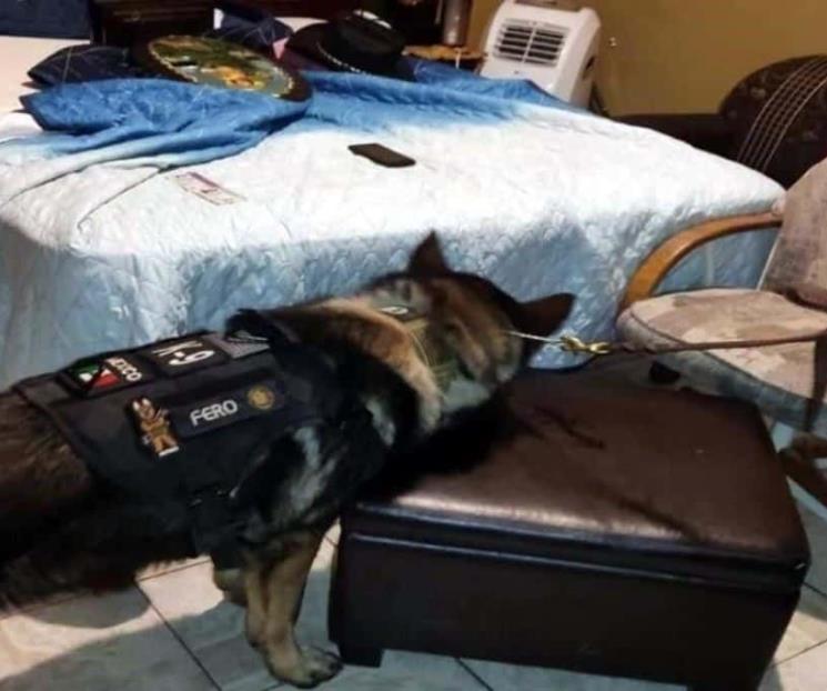 Detienen en China a peligroso delincuente