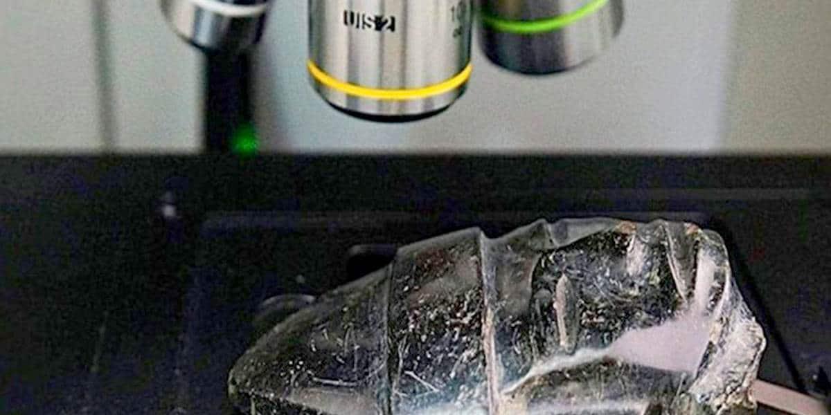 Charlarán en 3 Museos sobre las reliquias teotihuacanas