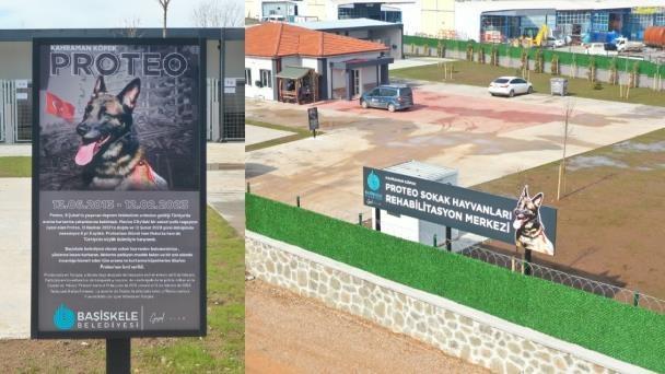 Ponen nombre de ‘Proteo’ a refugio de animales en Turquía Ponen nombre de ‘Proteo’ a refugio de animales en Turquía