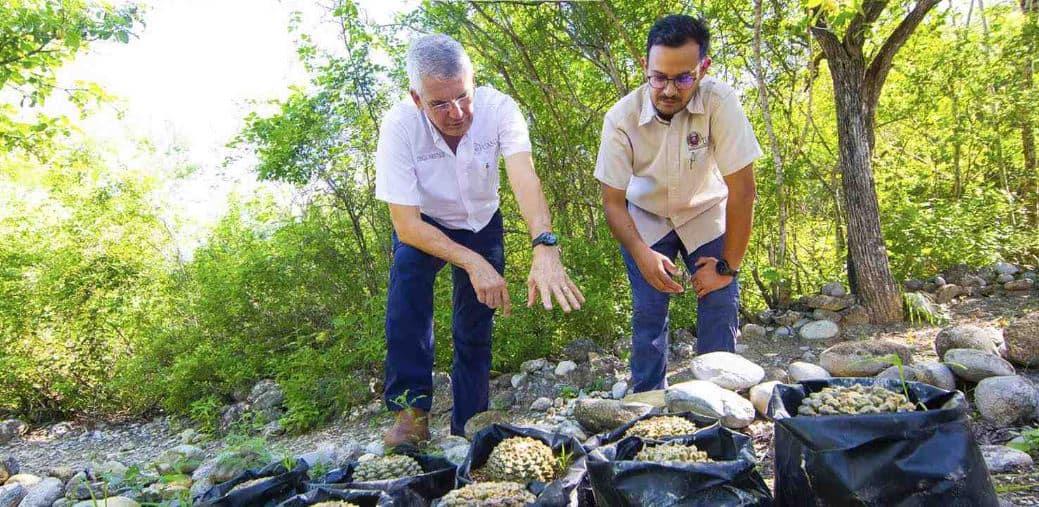 Brinda jardín botánico educación ambiental a menores