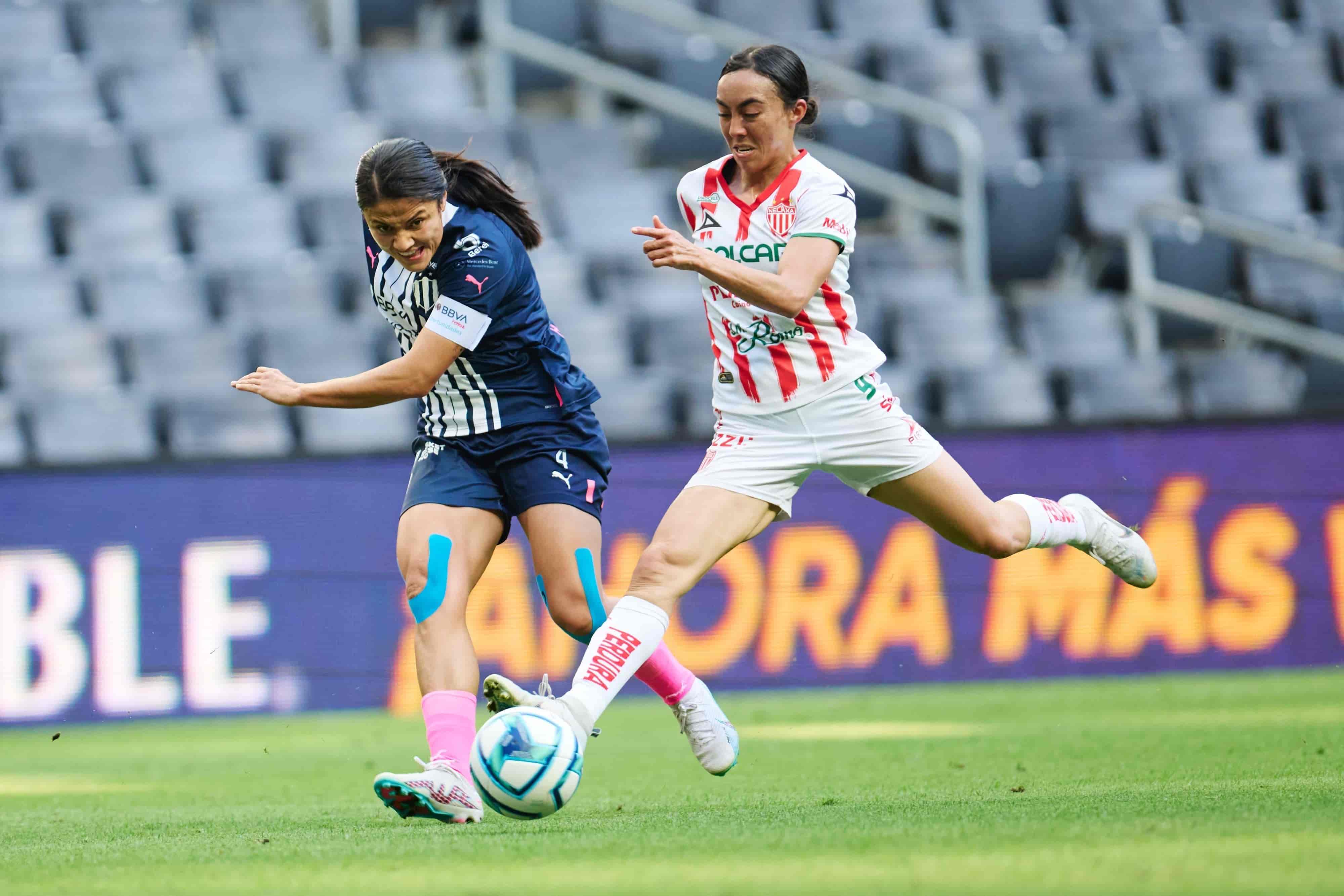 Rebeca Bernal colabora con una anotación.