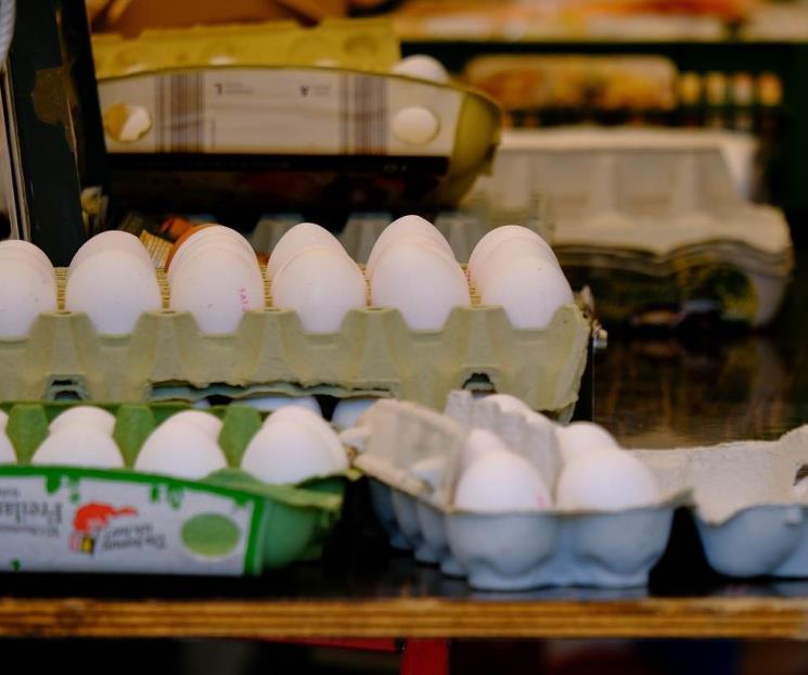 Precio de huevo blanco se mantiene en 53 pesos las 18 piezas