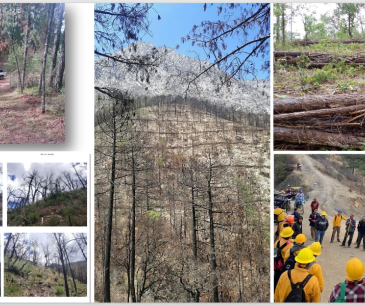 Buscarán reducir incendios en Sierra de Santiago
