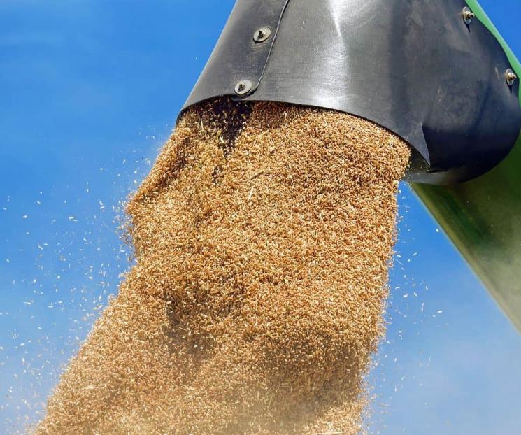 ¿Por qué el precio de los alimentos seguirá bajo presión?