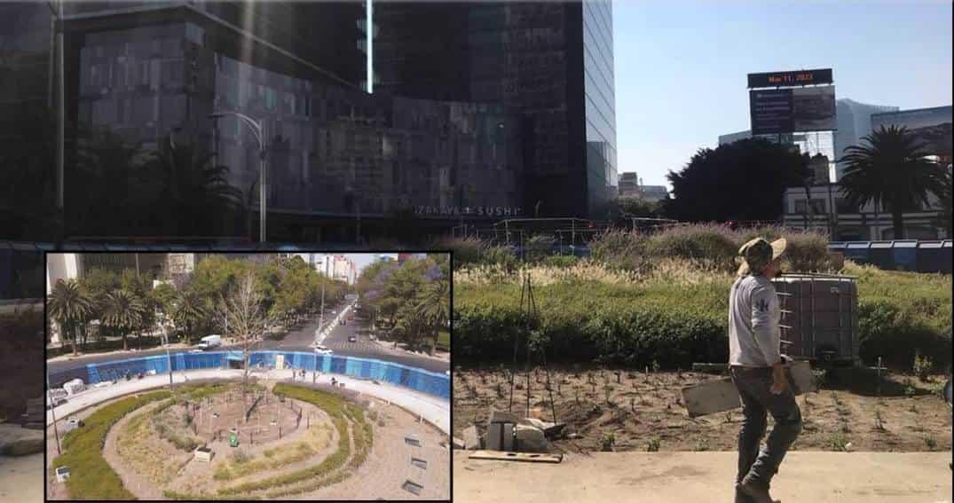 Sin ahuehuete, así amanece glorieta de Paseo de la Reforma