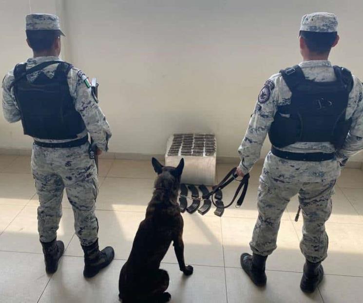 Hallan cargadores y cartuchos en paquetería