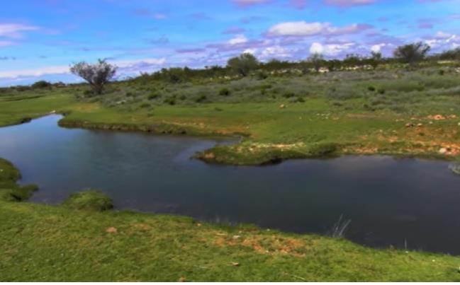 Acuerdan proteger fauna y ecosistemas sagrados de SLP