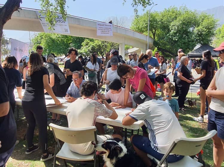 imagen-cuerpo imagen-cuerpo