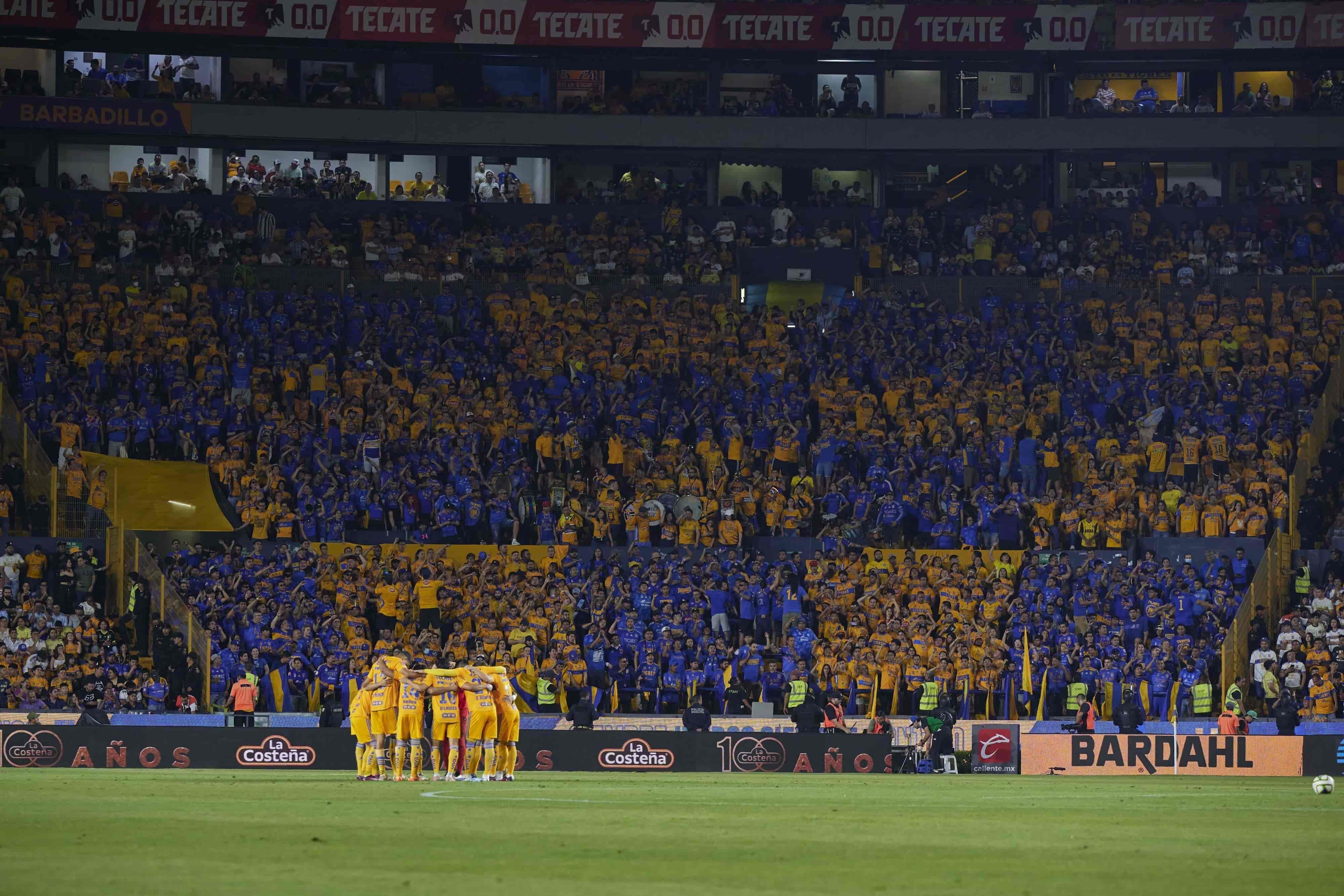 Mosaico Libres y Lokos.