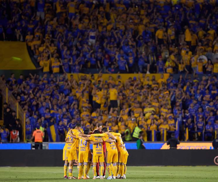 Encerrona felina Encerrona felina