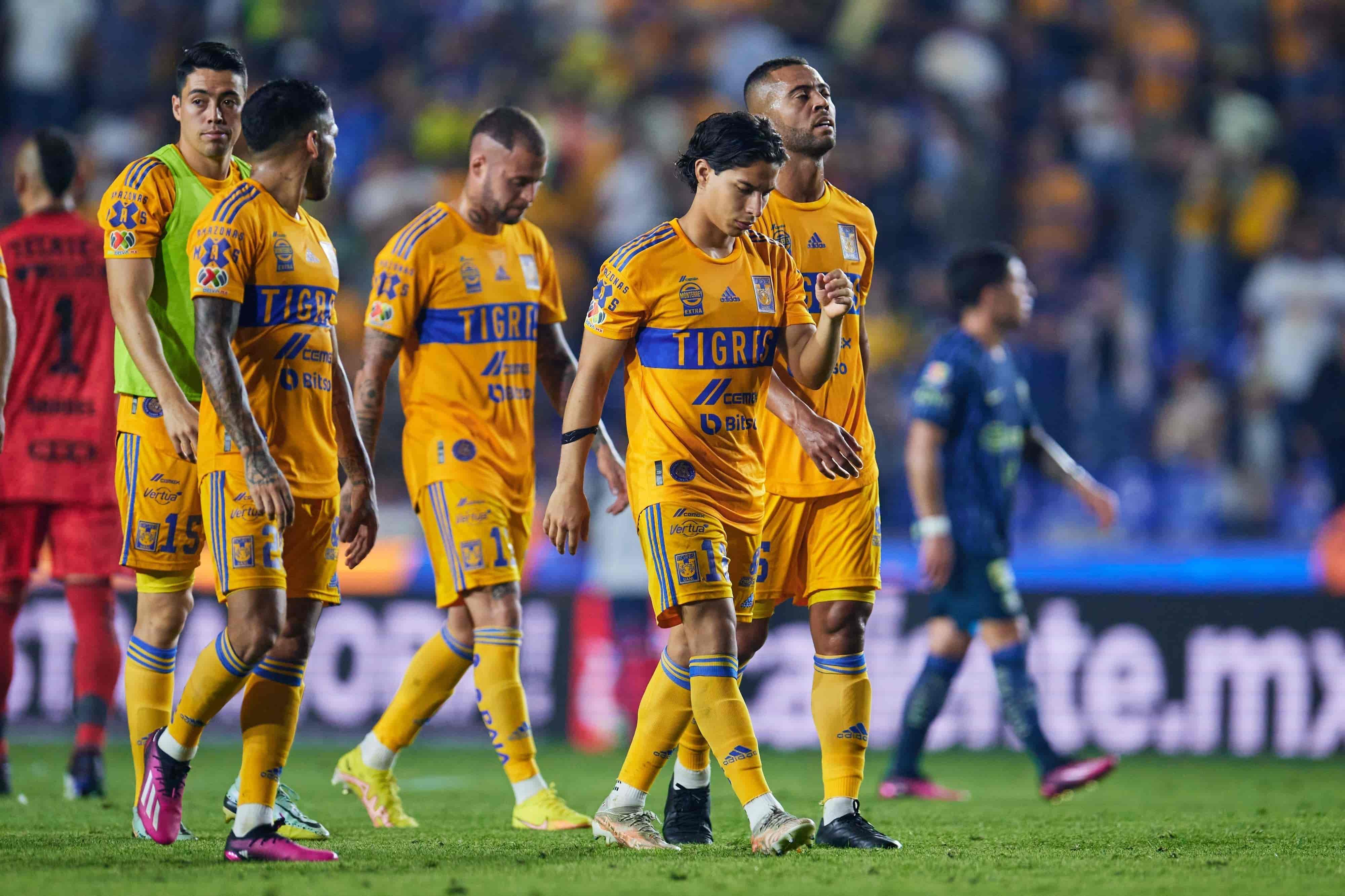 Felinos caen en casa.
