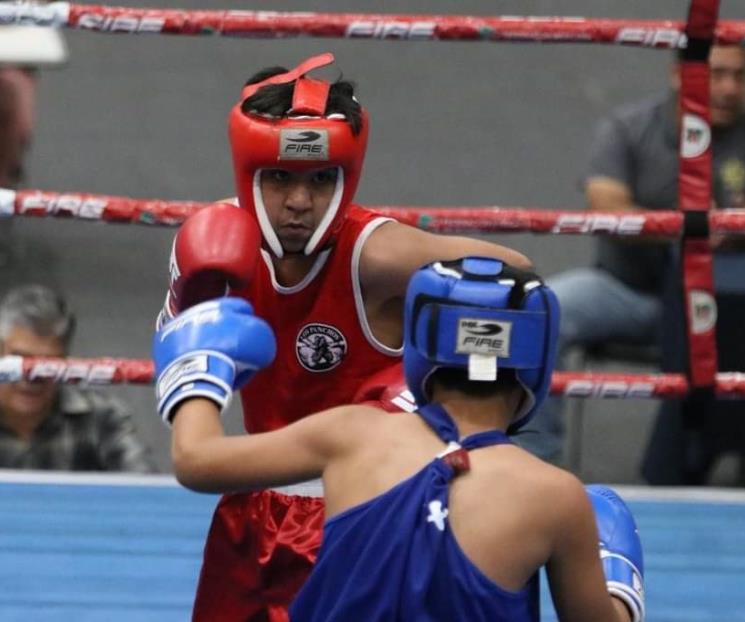 Arrancan los “Guantes de oro 2023” Arrancan los “Guantes de oro 2023”