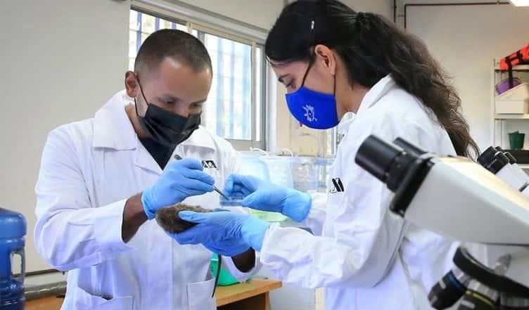 Celebran diálogo para la Iniciativa de Ley de Ciencia