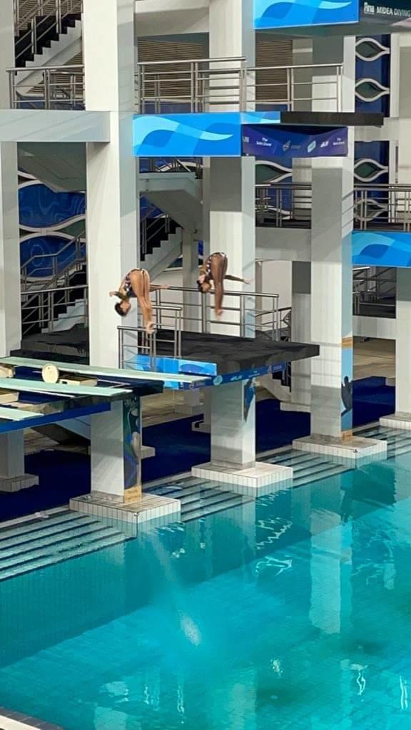 Brilla regio en clavados