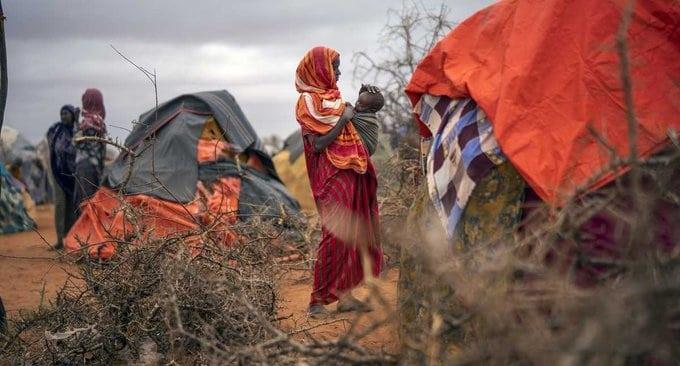 Murieron 43 mil en Somalia por falta de agua Murieron 43 mil en Somalia por falta de agua
