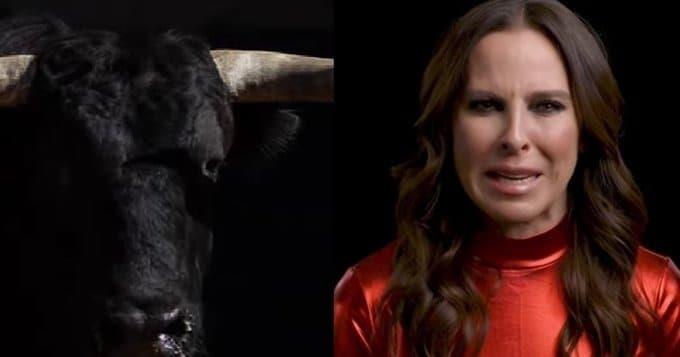 Kate del Castillo se lanza contra tauromaquia y la critican Kate del Castillo se lanza contra tauromaquia y la critican