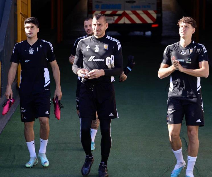 Recuperan Tigres a Igor Lichnovsky