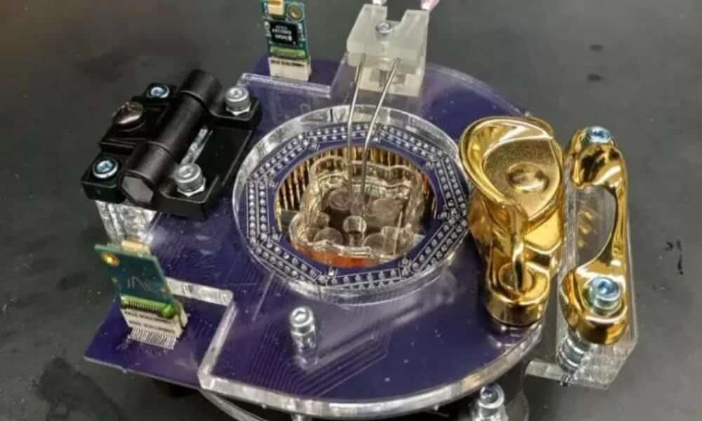 Crean el primer ‘ordenador vivo’ Crean el primer ‘ordenador vivo’