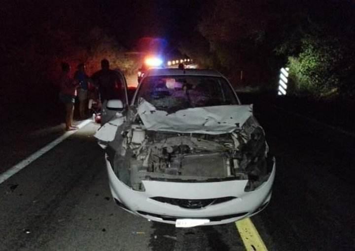 Chocan contra vaca y resultan lesionados