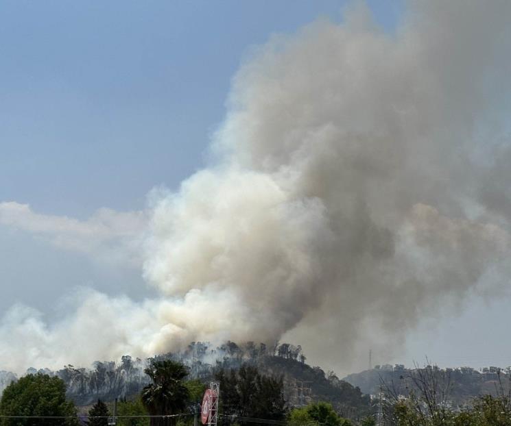 Incendio consumió 20 hectáreas del Cerro Moctezuma