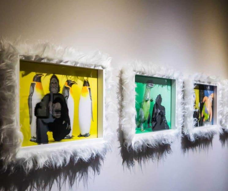 Llega “Cosmogónica: las artistas y sus mundos alternos”