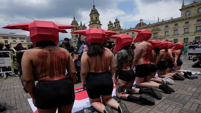 Exigen acabar con las corridas de toros  en Colombia