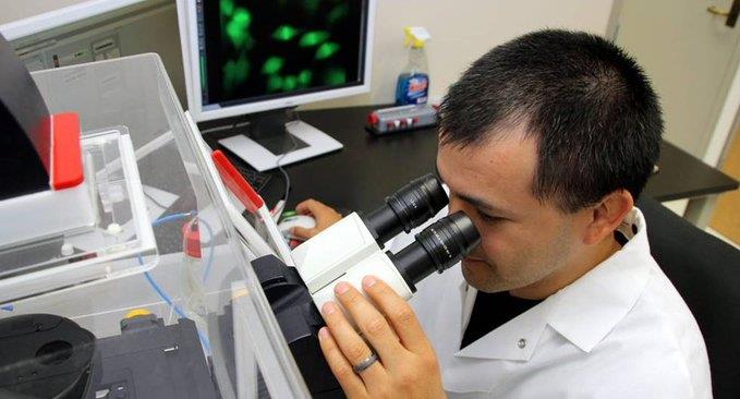 Hemos retrocedido 30 años en ciencia y cultura