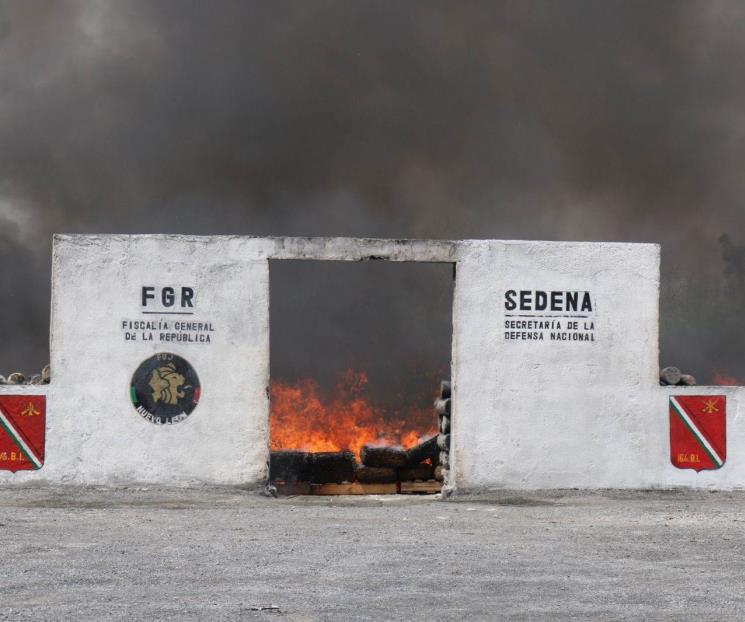 Destruyen más de mil kilos de drogas