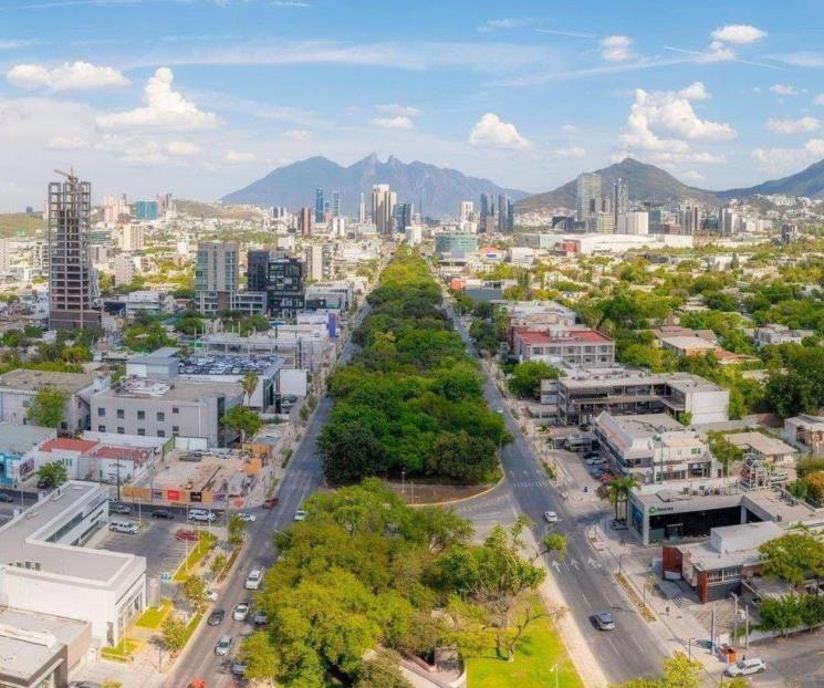 Lleva SP más de 8 mil árboles plantados Lleva SP más de 8 mil árboles plantados