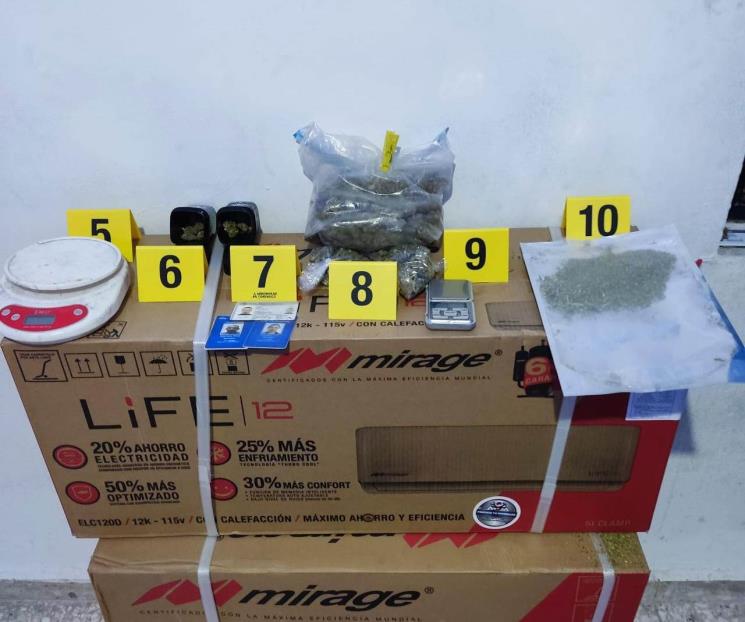 Caen 6 con droga y arma durante cateo Caen 6 con droga y arma durante cateo