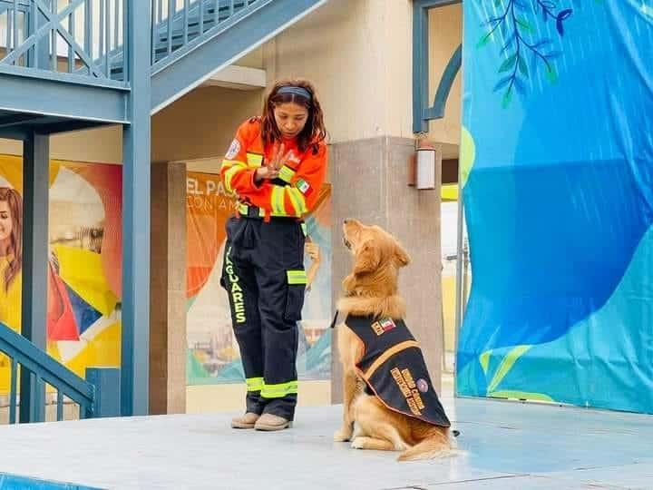 Concreta Santa Catarina acciones en pro del bienestar animal