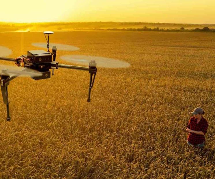 Colabora Tec en reforestación con drones