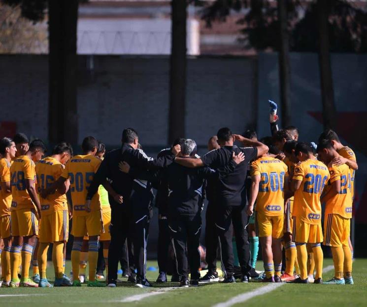 Felinos Sub-20 ganan y se meten a zona de liguilla Felinos Sub-20 ganan y se meten a zona de liguilla