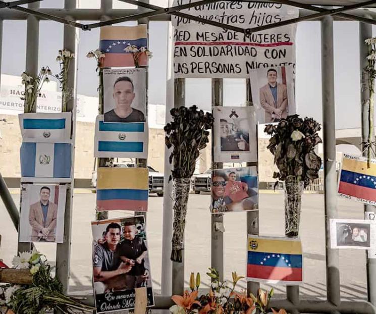 Ellos no son animales Ellos no son animales