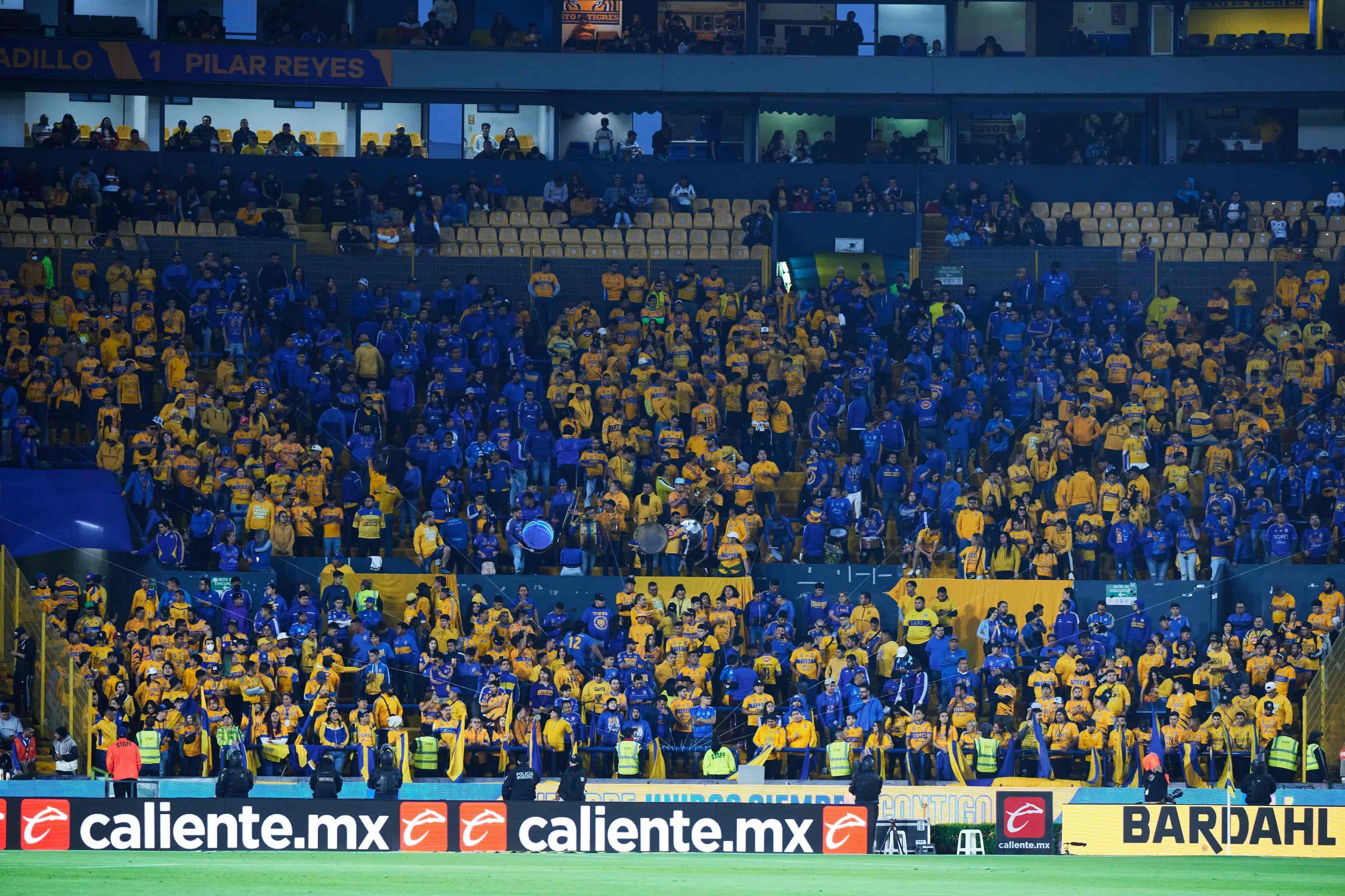 Mosaico Libres y Lokos.