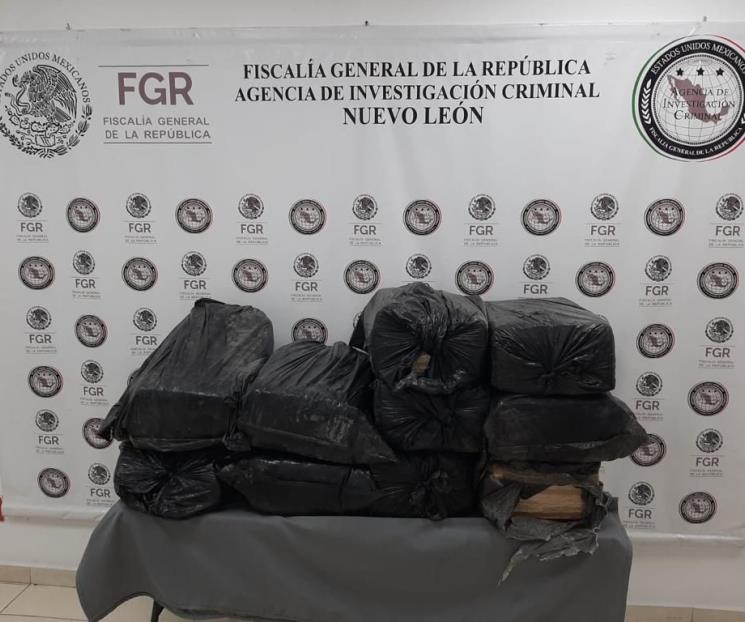 Decomisan 100 kilos de marihuana durante cateo