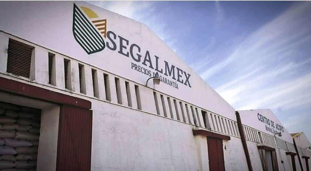 Segalmex debe comprobar recuperación de 950 mdp Segalmex debe comprobar recuperación de 950 mdp