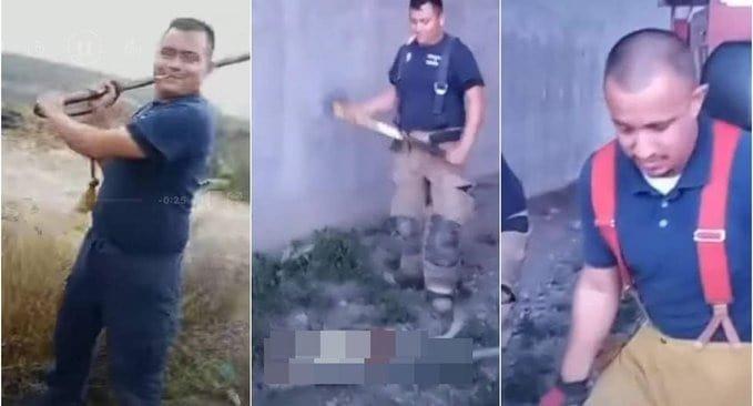 Supuestos bomberos asesinan a golpes a perros en Coahuila