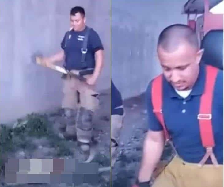 Denuncian penalmente a bomberos por asesinar a perros