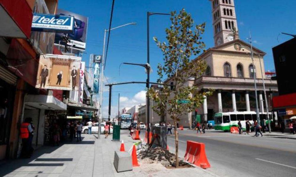 Pide GLPVEM 2 mil árboles para el centro de Monterrey