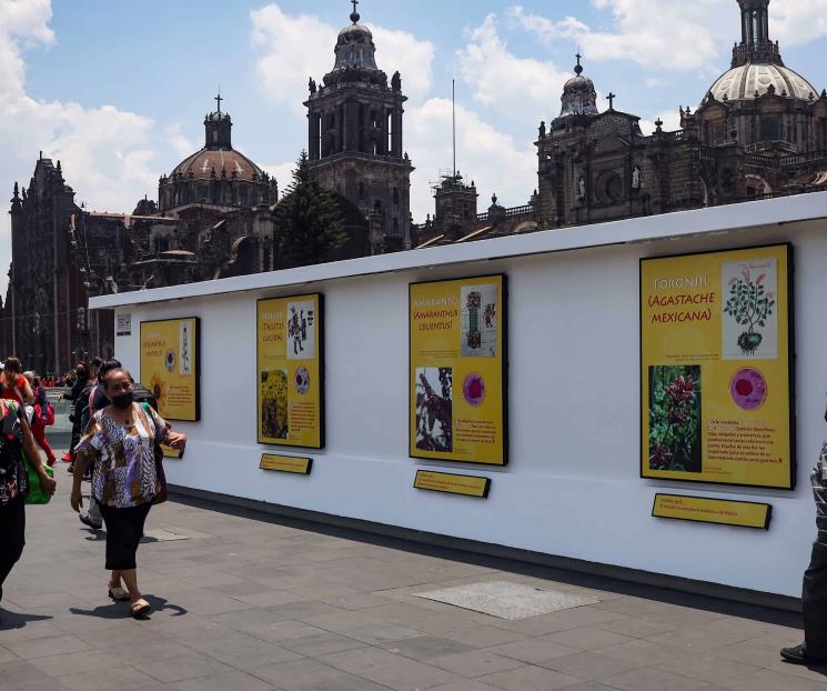 Flores a Huitzilopochtli, más usos y simbolismos